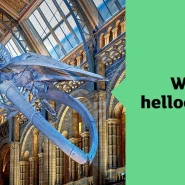 Natural History Museum ad